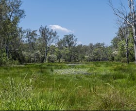 Rural / Farming commercial property for sale at 40 Whiteman Creek Road The Whiteman NSW 2460