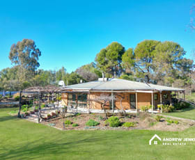 Rural / Farming commercial property for sale at 781 Healy Rd Cobram VIC 3644