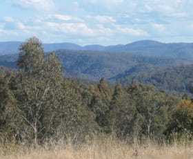 Rural / Farming commercial property for sale at 3 Hills Gate Forest Road Upper Tooloom NSW 2475