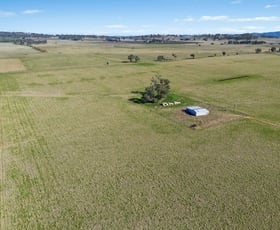 Rural / Farming commercial property for sale at Lots 39 & 118 Of 2611 Henry Lawson Drive Gulgong NSW 2852
