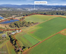 Rural / Farming commercial property for sale at 301 Moriarty Road Moriarty TAS 7307