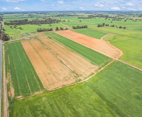 Rural / Farming commercial property for sale at 431 Finlay Road Kyabram VIC 3620