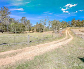 Rural / Farming commercial property for sale at 199 Friarbird Drive Moolboolaman QLD 4671