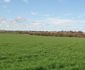 Rural / Farming commercial property for sale at 1209 Wickepin-Pingelly Road Wickepin WA 6370