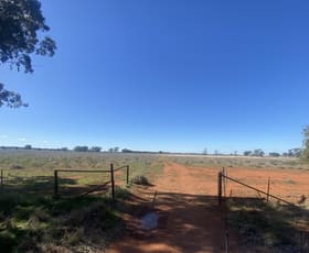 Rural / Farming commercial property for sale at 382 Jones Lane Condobolin NSW 2877