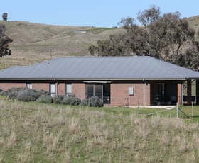 Rural / Farming commercial property for sale at 366 Pride of Oak Road Canowindra NSW 2804