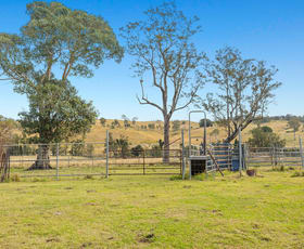 Rural / Farming commercial property for sale at 39-57 Aspreys Road Ettrick NSW 2474