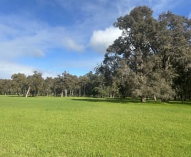 Rural / Farming commercial property for sale at 245 Crooked Brook Road Crooked Brook WA 6236
