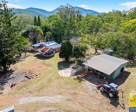 Rural / Farming commercial property for sale at 1316 Calliope River Road Calliope QLD 4680