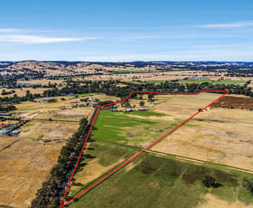 Rural / Farming commercial property for sale at 422 Wellesley Road Brunswick WA 6224