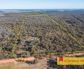 Rural / Farming commercial property for sale at 633 Patrick Road Dunedoo NSW 2844
