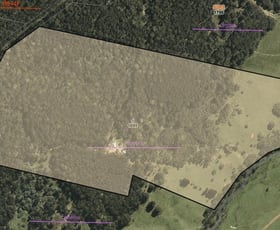 Rural / Farming commercial property for sale at 1695 Bendoc-Orbost Road Bendoc VIC 3888