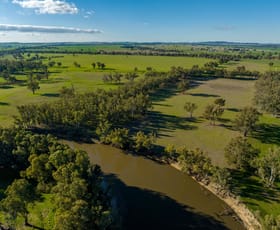 Rural / Farming commercial property for sale at 2021 Old Narrandera Road Wagga Wagga NSW 2650