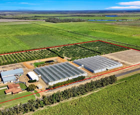 Rural / Farming commercial property for sale at 345 Wises Road Alloway QLD 4670