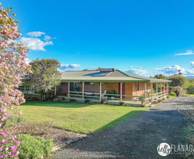 Rural / Farming commercial property for sale at 328 Spooners Avenue Collombatti NSW 2440 Rural / Farming commercial property for sale at 328 Spooners Avenue Collombatti NSW 2440