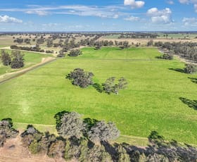 Rural / Farming commercial property for sale at 941 Yarraman Road Bunnaloo NSW 2731