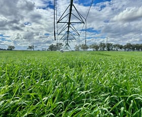 Rural / Farming commercial property for sale at 665 Airport Road Three Moon QLD 4630