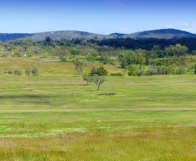 Rural / Farming commercial property for sale at Lot 44,49,50 Capricorn Highway Westwood QLD 4702