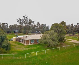 Rural / Farming commercial property for sale at 'Kindimindi' 6176 Wakool Road Wakool NSW 2710