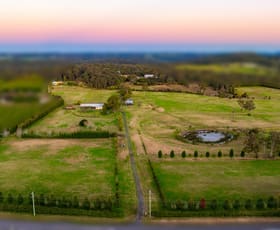 Rural / Farming commercial property for sale at 2583 Wisemans Ferry Road Mangrove Mountain NSW 2250