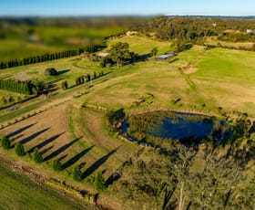 Rural / Farming commercial property for sale at 2583 Wisemans Ferry Road Mangrove Mountain NSW 2250