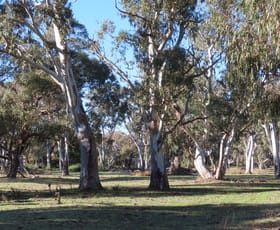 Rural / Farming commercial property for sale at 225 Coles-Killanoola Road Coles SA 5272