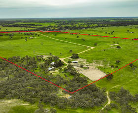Rural / Farming commercial property for sale at 3467 Riddoch Highway Willalooka SA 5267