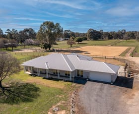 Rural / Farming commercial property for sale at 364 Goomalibee Road Benalla VIC 3672