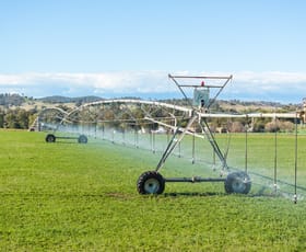 Rural / Farming commercial property for sale at 164 Settlement Bridge Road Canowindra NSW 2804