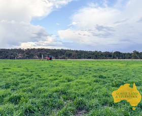 Rural / Farming commercial property for sale at 250 Heights Road Nanango QLD 4615
