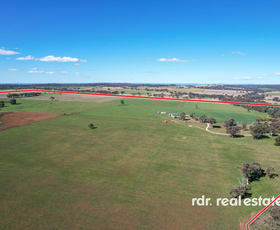 Rural / Farming commercial property for sale at 8736 Gwydir Highway Inverell NSW 2360