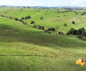 Rural / Farming commercial property for sale at Tarzali QLD 4885