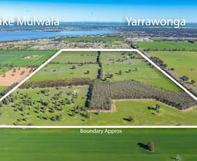 Rural / Farming commercial property for sale at 290 Savernake Road Mulwala NSW 2647