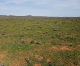 Rural / Farming commercial property for sale at 'Acacia Ridge' 511 Tapscott Rd Orroroo SA 5431