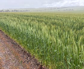 Rural / Farming commercial property for sale at 1396 Tabletop Road Mount Horner WA 6525