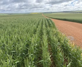 Rural / Farming commercial property for sale at 1396 Tabletop Road Mount Horner WA 6525 Rural / Farming commercial property for sale at 1396 Tabletop Road Mount Horner WA 6525