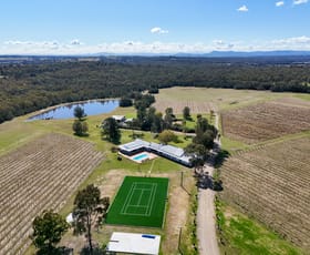 Rural / Farming commercial property for sale at 463 Deasys Road Pokolbin NSW 2320