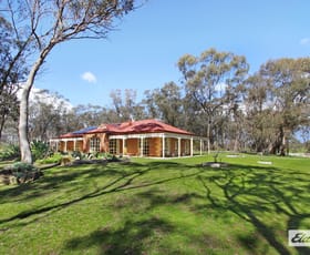 Rural / Farming commercial property for sale at 144 Kennelly Road Eppalock VIC 3551