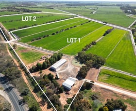 Rural / Farming commercial property for sale at 19 Little Murray Weir Road Castle Donnington VIC 3585