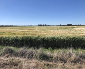 Rural / Farming commercial property for sale at 31850 Cunningham Highway Goondiwindi QLD 4390