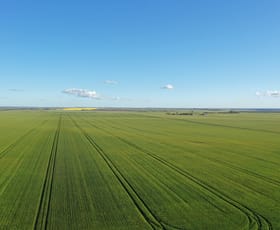Rural / Farming commercial property for sale at Midlands Road Marchagee WA 6515