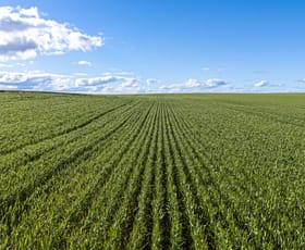 Rural / Farming commercial property for sale at Midlands Road Marchagee WA 6515