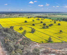 Factory, Warehouse & Industrial commercial property for sale at 73 Churchill Avenue Bright VIC 3741