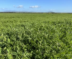 Rural / Farming commercial property for sale at Lot 147 Charlton Gully Road Wanilla SA 5607