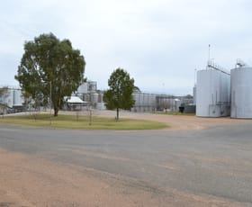 Rural / Farming commercial property for sale at 214 Nixon Road Monash SA 5342