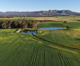 Rural / Farming commercial property for sale at 491 Knight Road Porongurup WA 6324