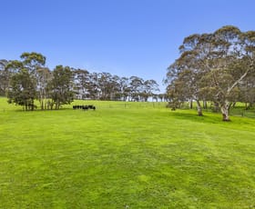 Rural / Farming commercial property for sale at A300 Bonython Road Bugle Ranges SA 5251