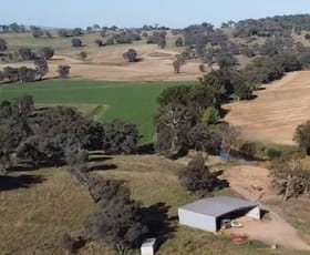 Rural / Farming commercial property for sale at 2350 George Russell Drive Canowindra NSW 2804