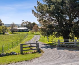 Rural / Farming commercial property for sale at 291 Chapmans Lane Chatsbury NSW 2580