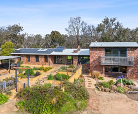 Rural / Farming commercial property for sale at 205 Minter Drive Bellbrae VIC 3228